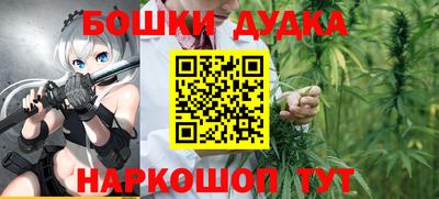 дмт Новодвинск