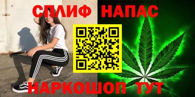 бошки Новозыбков