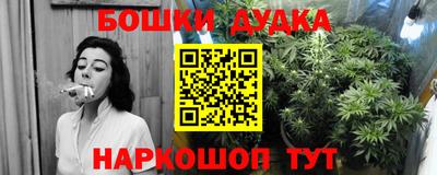 дмт Новодвинск
